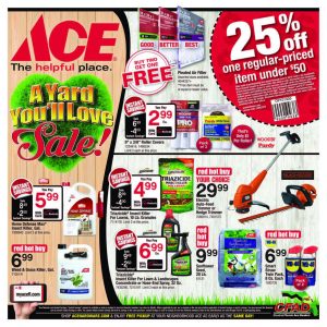 Central Florida Ace Hardware Stores yard Sale